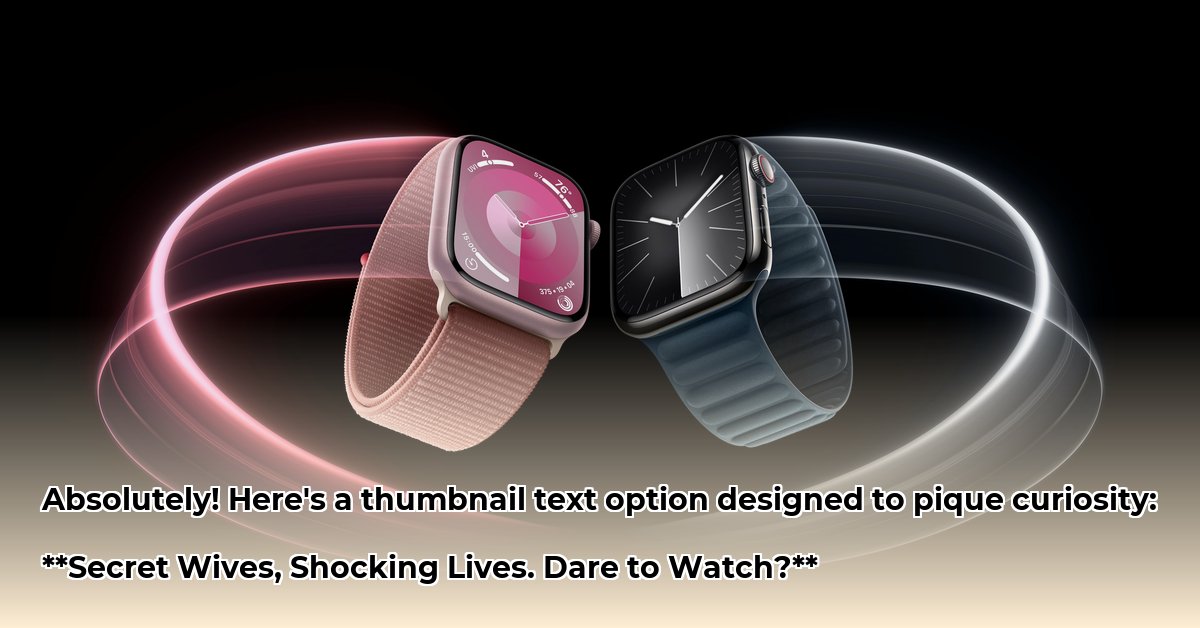 where-to-watch-seeking-sister-wife